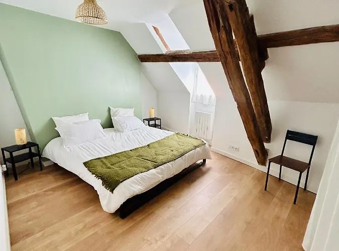 Appartement Cottage Au Coeur De Nemours